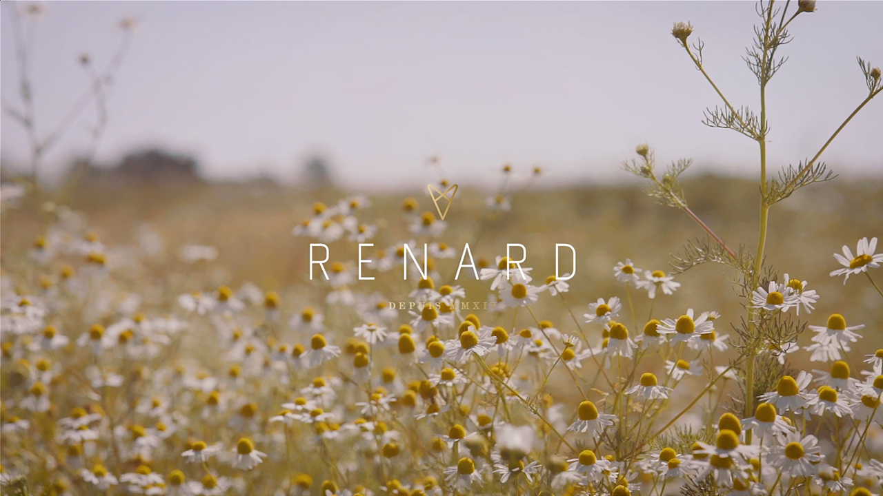 Renard'20